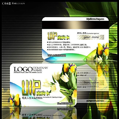 ����VIP�����ģ��