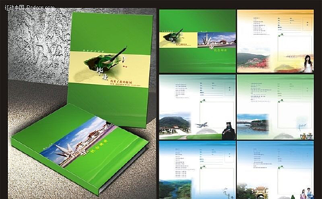 ����Сѧ�����