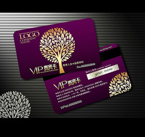 ���ݻ���VIP�����ģ��