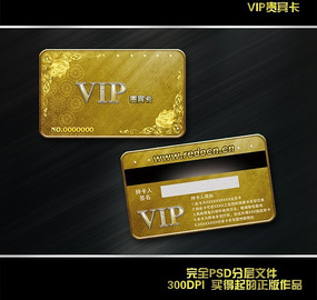 ��ɫ����VIP����� PSD