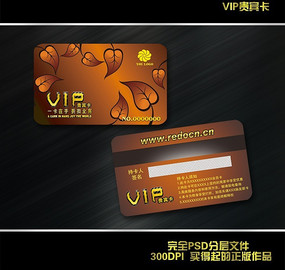 ��������VIP����� PSD