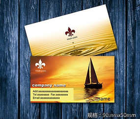 ������Ƭ