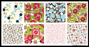 �Ļ���ʸ��ͼ