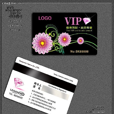 ʱ��VIP��ʯ�� PSD