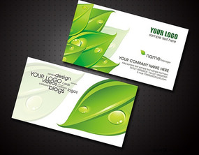 ������Ƭ���ģ��