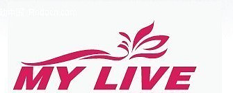 ����Ӣ������