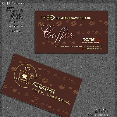 ����ר������Ƭ