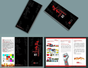 ����湫˾������ҳ��� CDR