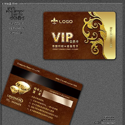 �����VIP�� PSD