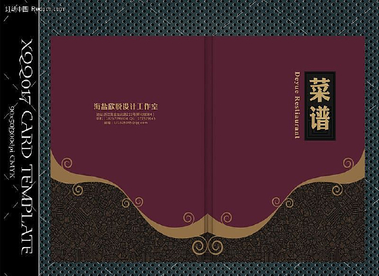 �ߵ����׷������ CDR