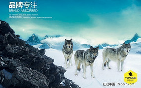 ���Ļ�PSDģ�� PSD