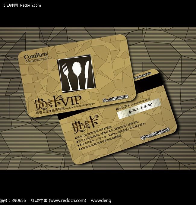 ������ʳVIP��