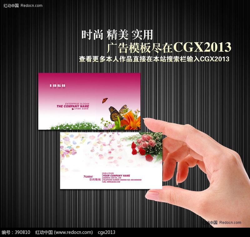 ������Ƭ