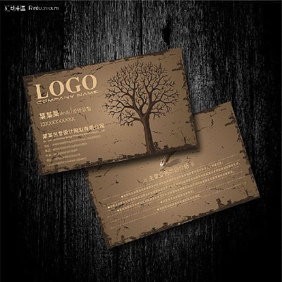 ����������Ƭ���