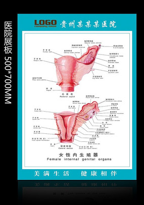 Ů������ֳ�� ҽԺչ�� PSD