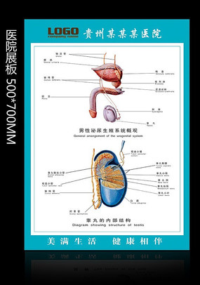 غ��ҽԺչ�� PSD