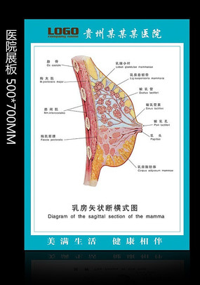 鷿 ҽԺչ PSD