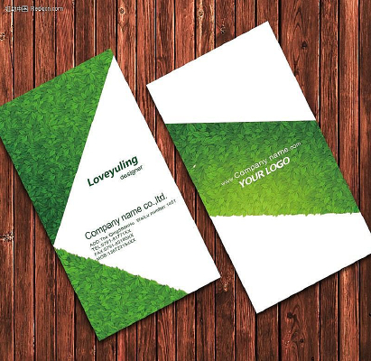 ������Ҷ