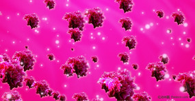 Ư��ĵ����̬��Ƶ