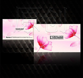 ���⻨����Ƭ