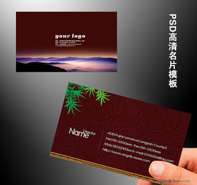 �е͵�������Ƭ