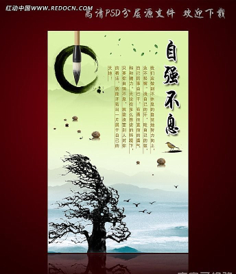 ��ǿ��Ϣ �й���ѧУ�Ļ�չ����� PSD