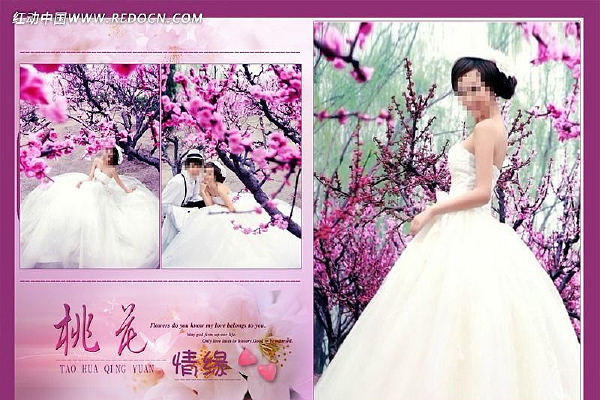 ��ɴģ��PSDϵ��-�һ���Ե PSD