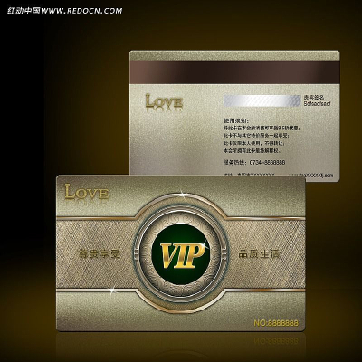 �ߵ��ݻ�VIP����� ppt