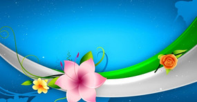 ��ɫ��������