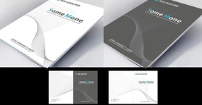 ��ɫ����