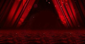 ��������̬������Ƶ