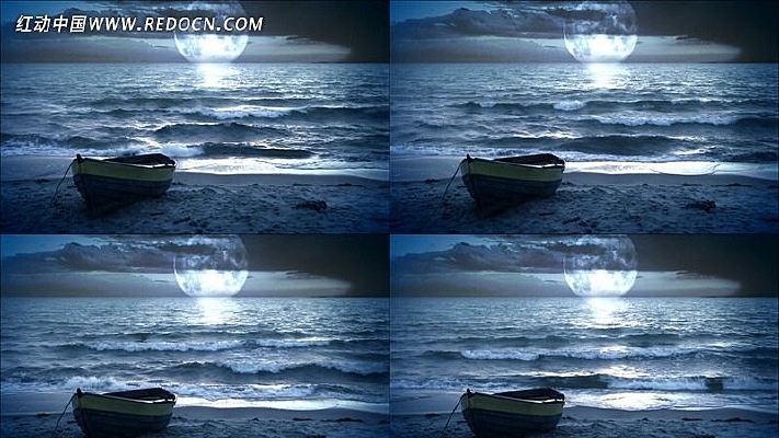 ����������Ƶ