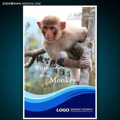 ��ҵ�Ļ����ﾫ��ƪ PSD