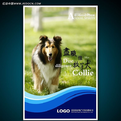 ��ҵ�Ļ����ﾫ��ƪ PSD