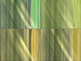 ��ɫ��鱳��