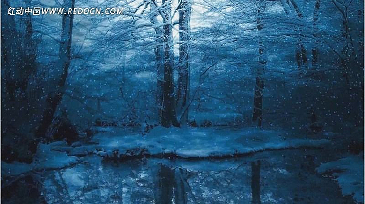 ���󱳾�ɭ��