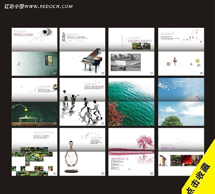 �ز����� CDR