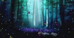 �����ɾ�