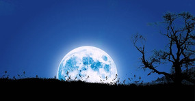 ����������Ƶ