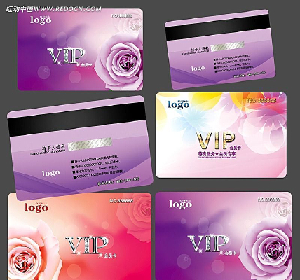 ����Ů��VIP PSD