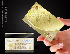 ��ɫVIP����� PSD