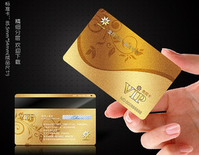 ��ɫ��Ա�� VIP����� PSD