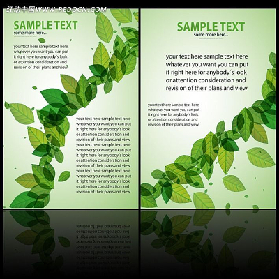 ��ɫ����չ��