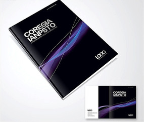 ��ɫƮ������