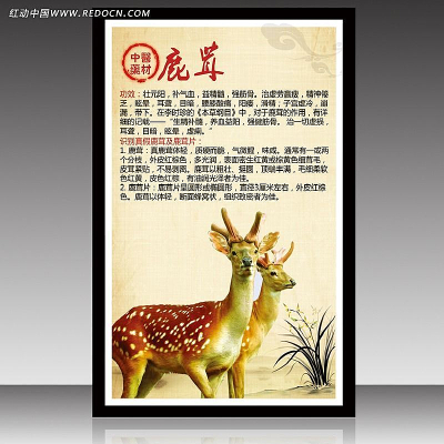 ������ҩ¹��չ��