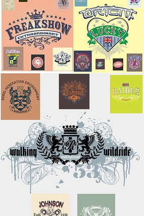 diyt��ӡ��ͼ�� CDR