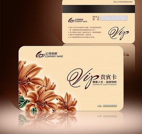 ������VIP��