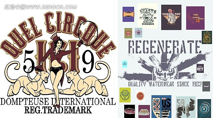 ����ӡ�� CDR