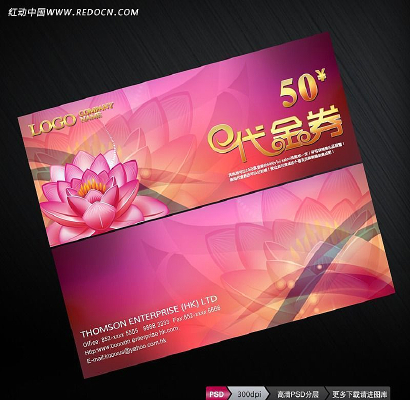 ʱ���Ż�ȯ ��Ʒȯ PSD