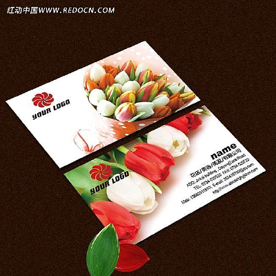 ������Ƭ